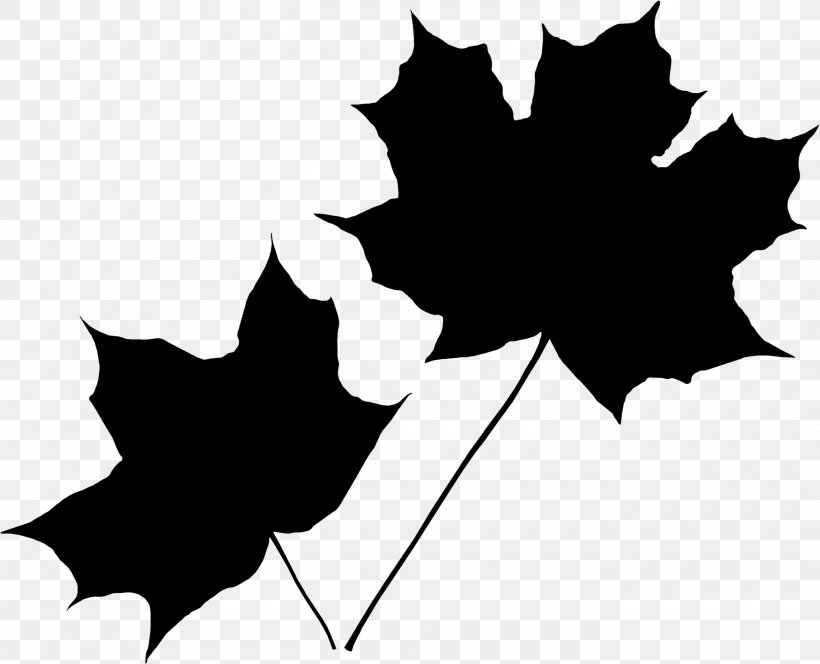 Maple Leaf Autumn White Red, PNG, 2800x2269px, Maple Leaf, Autumn, Autumn Leaf Color, Black, Black Maple Download Free