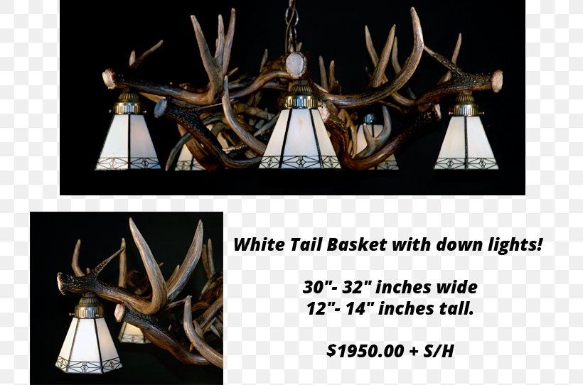 Antler White-tailed Deer Elk Chandelier, PNG, 736x542px, Antler, Antlers By Cody, Ceiling, Chandelier, Color Download Free