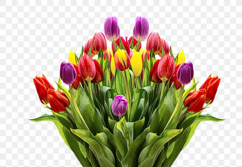Floral Design, PNG, 1920x1324px, Spring Flower, Bouquet, Bud, Crocus, Cut Flowers Download Free
