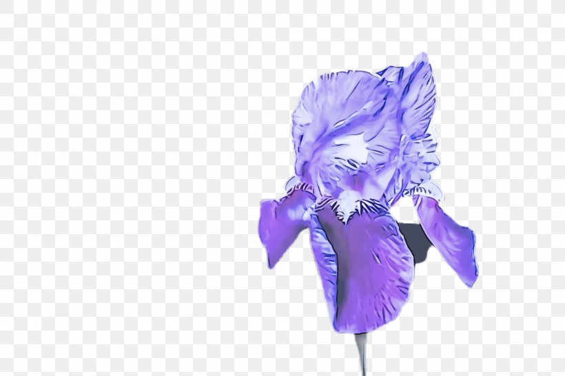 Lavender, PNG, 2000x1332px, Violet, Cut Flowers, Flower, Flowering Plant, Iris Download Free