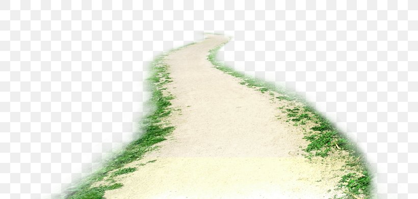 Road Clip Art, PNG, 800x391px, Road, Footpath, Grass, Green, Photography Download Free