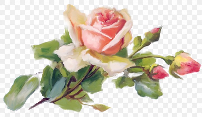 Garden Roses Painting Image Art Download, PNG, 1280x745px, Garden Roses, Art, Artificial Flower, Botany, Bouquet Download Free