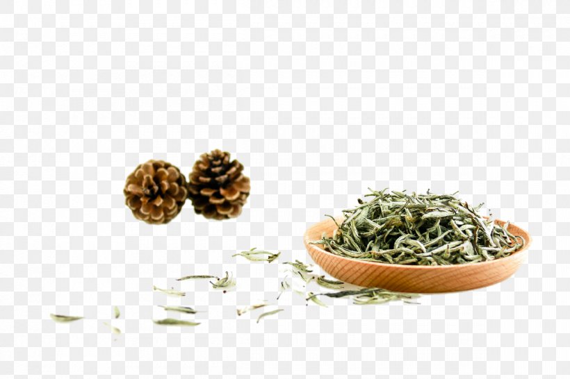 Green Tea High-mountain Tea White Tea Canned Tea, PNG, 1200x800px, Tea, Architecture, Black Tea, Calligraphy, Canned Tea Download Free