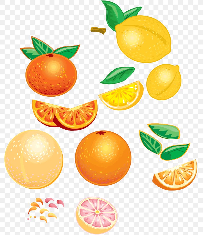 Mandarin Orange Vegetarian Cuisine Tangerine Food, PNG, 800x951px, Orange, Citric Acid, Citrus, Clementine, Diet Food Download Free