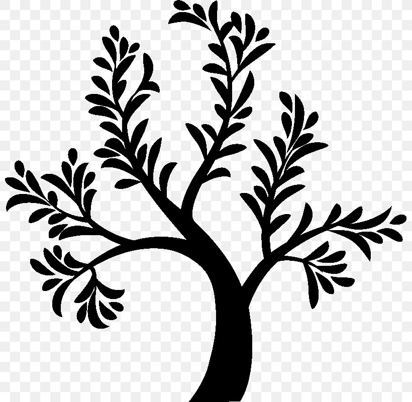 Vector Graphics Stock Illustration Drawing, PNG, 800x800px, Drawing, Art, Blackandwhite, Botany, Branch Download Free