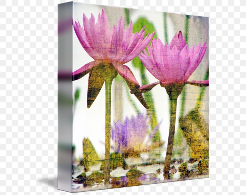 Abstract Art Water Lilies Artist Printmaking, PNG, 589x650px, Abstract Art, Art, Art Museum, Artist, Contemporary Art Download Free