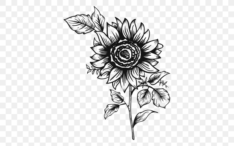 Common Sunflower Drawing Painting, PNG, 512x512px, Common Sunflower, Artwork, Black, Black And White, Chrysanths Download Free