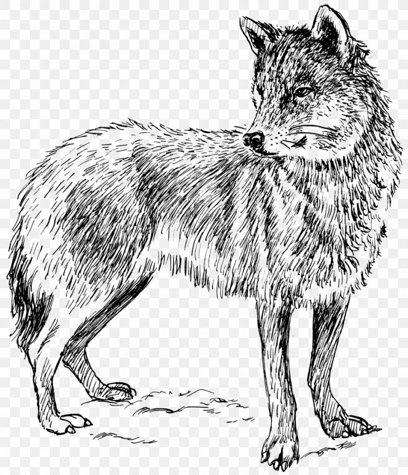 Dog Arctic Wolf Black Wolf Clip Art, PNG, 958x1118px, Dog, Arctic Wolf, Art, Black And White, Black Wolf Download Free