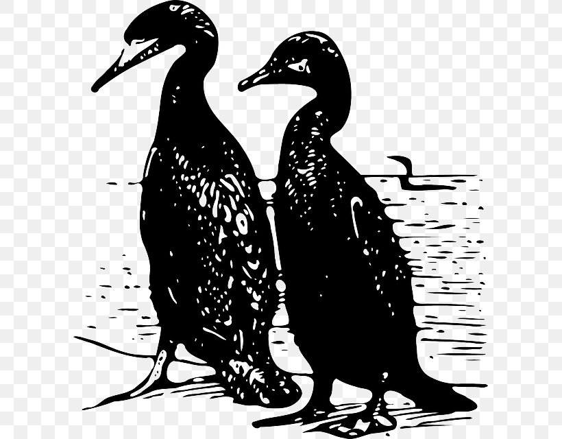 Duck Silhouette Clip Art, PNG, 605x640px, Duck, Beak, Bird, Black And White, Drawing Download Free