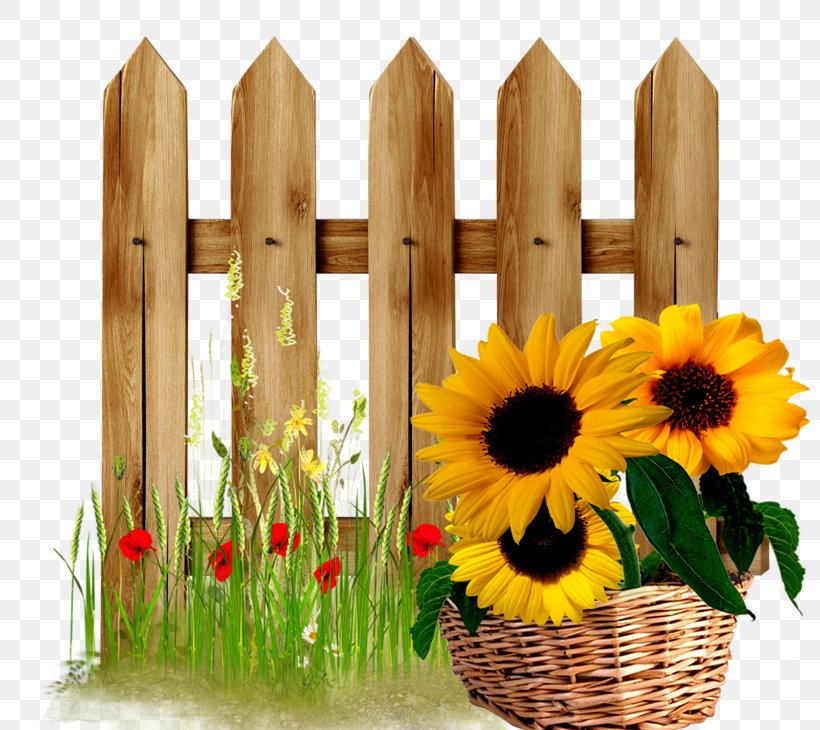 Fence Gate Flower Garden Clip Art, PNG, 800x730px, Fence, Cut Flowers, Daisy Family, Door, Floral Design Download Free