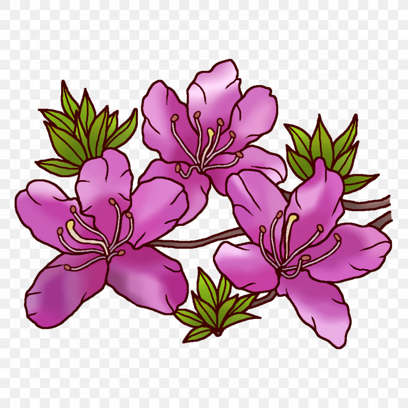 Floral Design, PNG, 1400x1400px, Lily Of The Incas, Biology, Family, Floral Design, Geranium M Download Free