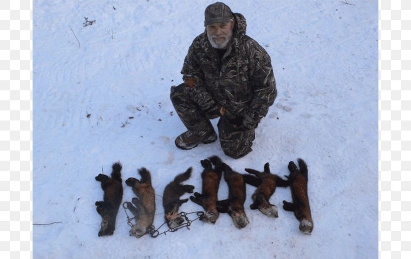 Grizzly Creek Lodge Hunting Trapline Trapping Fishing, PNG, 768x516px, Hunting, Animal, Fauna, Fishing, Snow Download Free