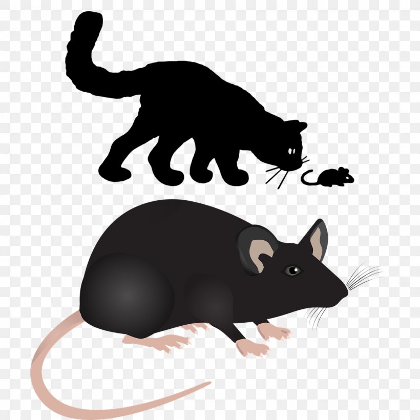 Labrador Retriever Computer Mouse Rodent Rat, PNG, 1122x1122px, Mouse, Animal, Carnivoran, Cat, Cat And Mouse Download Free
