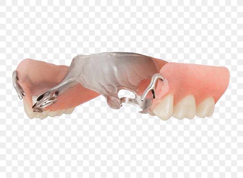 Nail Thumb Snout Tooth, PNG, 749x600px, Nail, Finger, Hand, Jaw, Joint Download Free