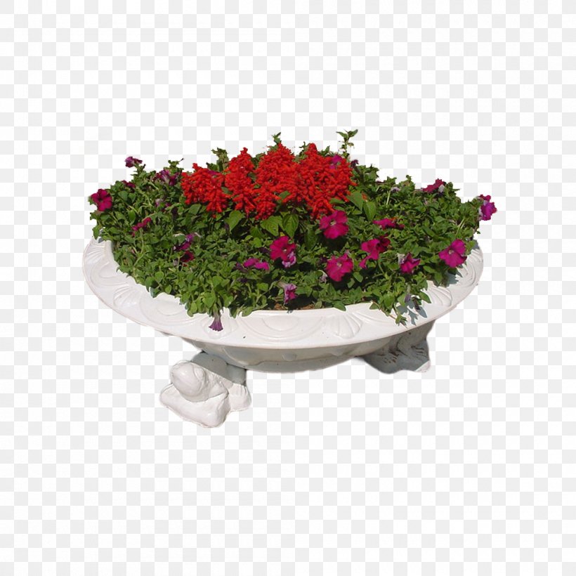 Plate-bande Flower Garden Rose, PNG, 1000x1000px, Platebande, Annual Plant, Cut Flowers, Floral Design, Floristry Download Free