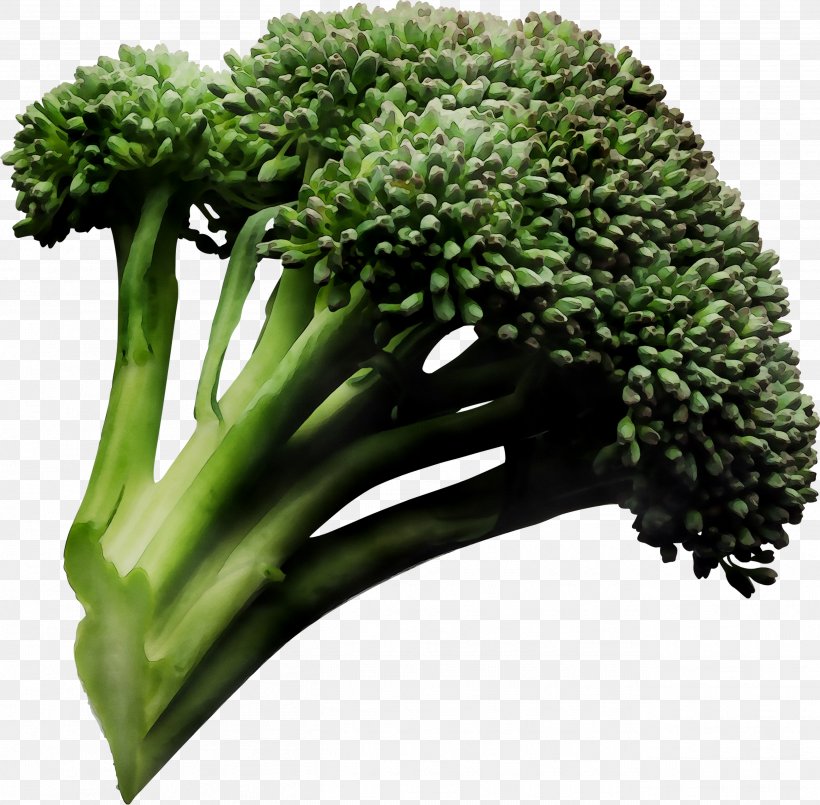 Sprouting Broccoli Cauliflower Health Food, PNG, 2595x2550px, Broccoli, Betacarotene, Cabbages, Cauliflower, Cruciferous Vegetables Download Free