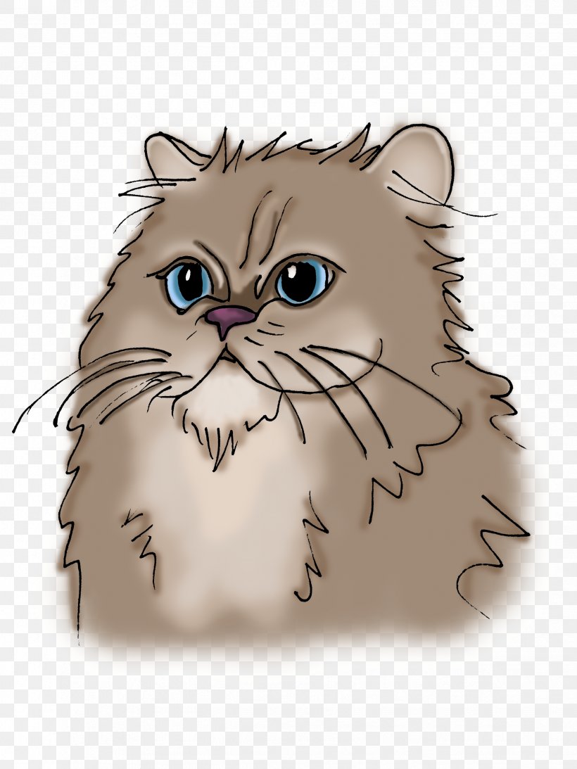 Whiskers Kitten Domestic Short-haired Cat Tabby Cat Wildcat, PNG, 2448x3264px, Whiskers, Carnivoran, Cartoon, Cat, Cat Like Mammal Download Free