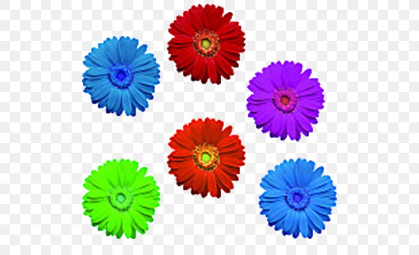 Chrysanthemum Flower, PNG, 500x500px, Chrysanthemum, Annual Plant, Aster, Chrysanths, Color Download Free