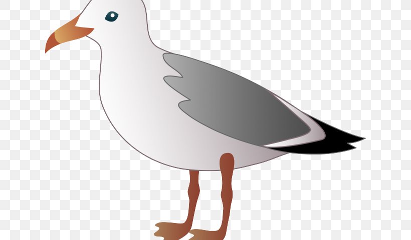 Clip Art Gulls Bird Download Image, PNG, 640x480px, Gulls, Beak, Bird, Cartoon, Charadriiformes Download Free