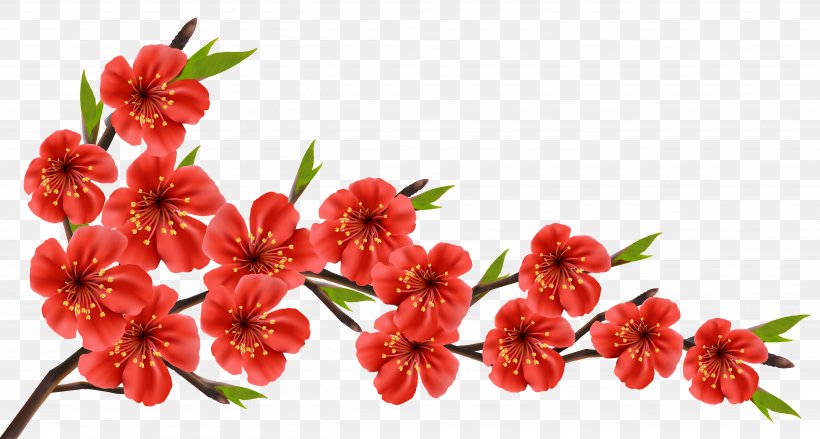 Flowery Branch Clip Art, PNG, 5054x2706px, Flower, Blossom, Branch, Cherry Blossom, Cut Flowers Download Free