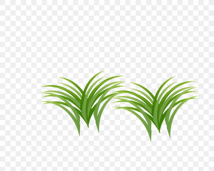 Grass, PNG, 1000x800px, Gratis, Designer, Graphic Designer, Grass, Green Download Free