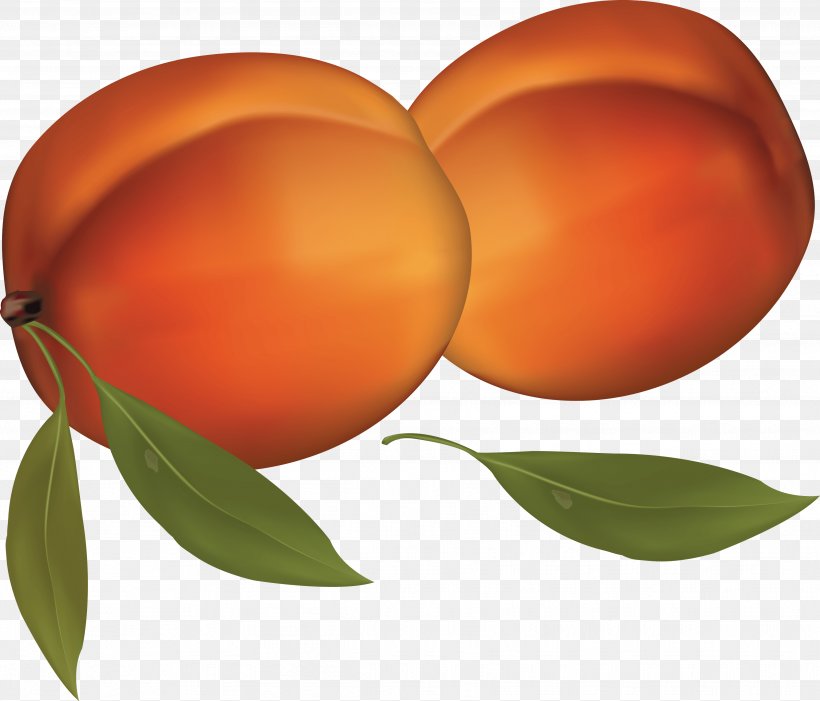 Peaches And Cream Clip Art, PNG, 3486x2982px, Peach, Apricot, Black And White, Citrus, Diospyros Download Free
