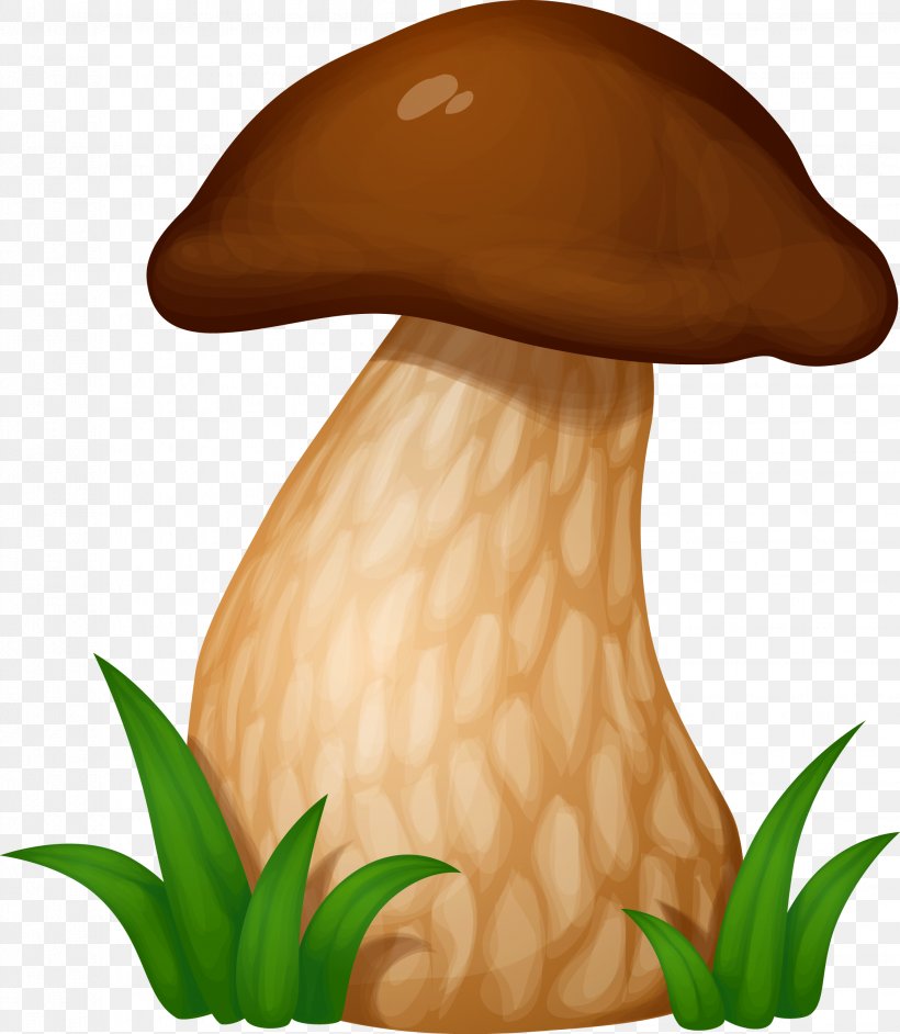 Boletus Edulis Mushroom Euclidean Vector Fungus, PNG, 2244x2579px, Boletus Edulis, Amanita Muscaria, Boletus Pinophilus, Digital Image, Edible Mushroom Download Free