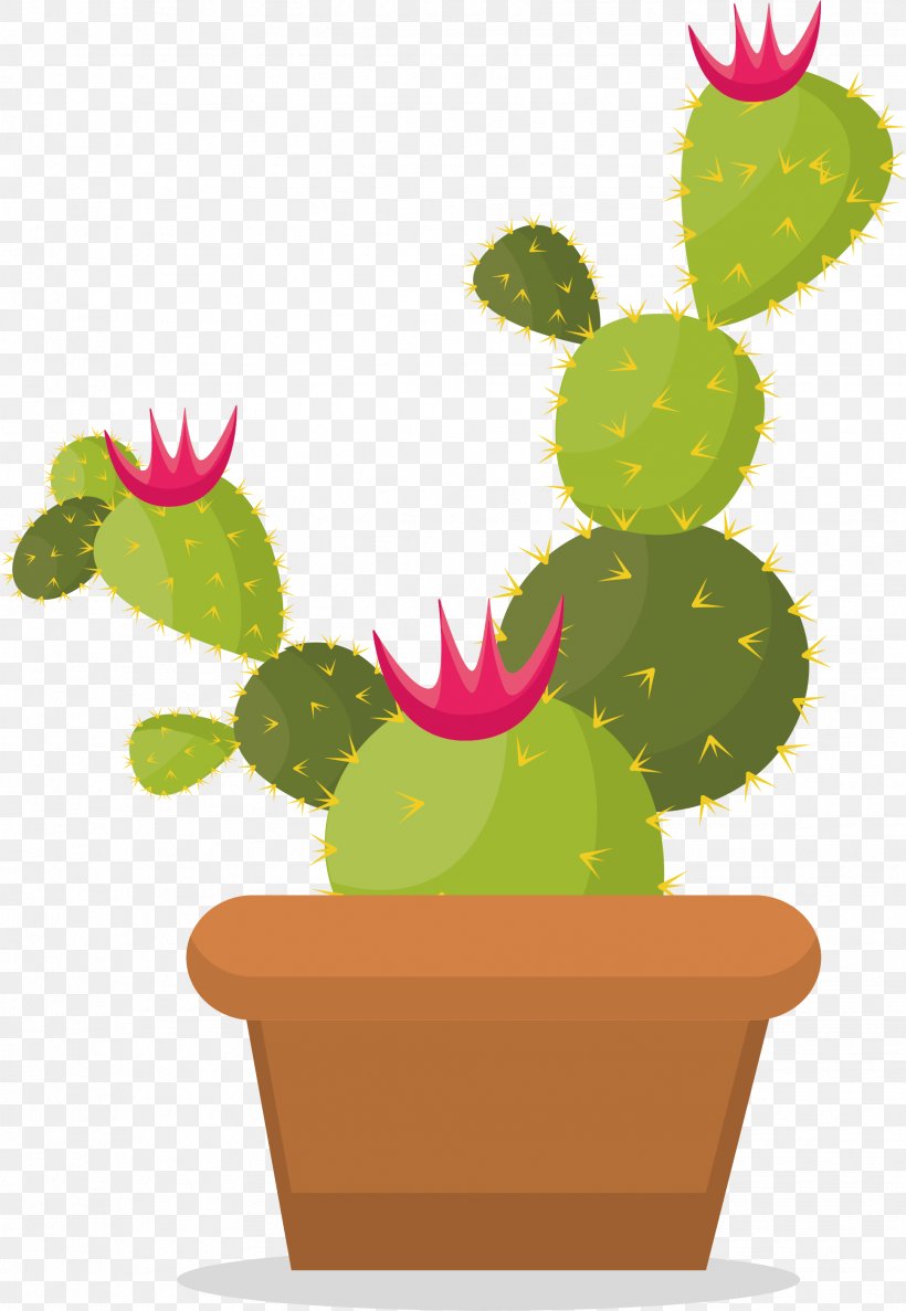 Cactaceae Euclidean Vector Thorns, Spines, And Prickles, PNG, 1937x2806px, Cactaceae, Cactus, Caryophyllales, Flowering Plant, Flowerpot Download Free