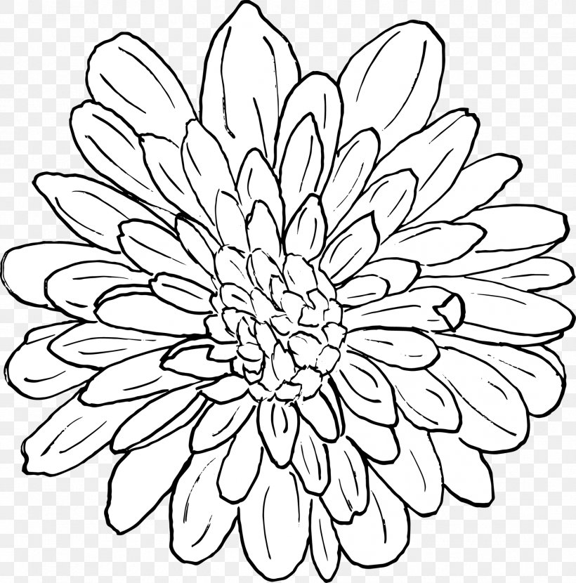Chrysanthemum Floral Design Line Art Coloring Book Pattern, PNG, 1778x1800px, Chrysanthemum, Black And White, Book, Chrysanths, Coloring Book Download Free