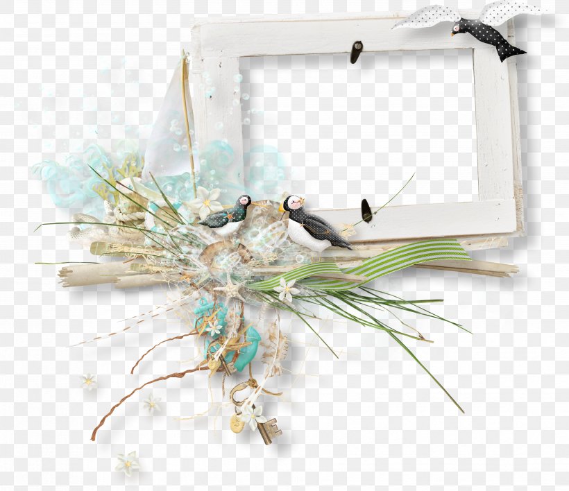 Decoupage Photography Sea Clip Art, PNG, 3513x3034px, Decoupage, Beach, Designer, Feather, Photo Albums Download Free