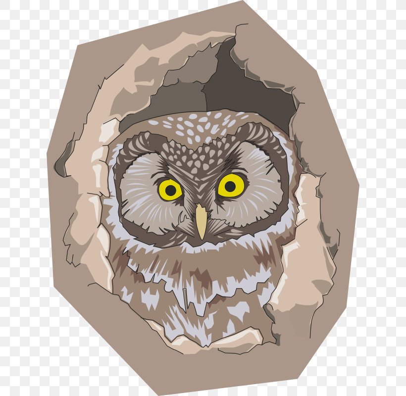 Owl Bird Tree Hollow Clip Art, PNG, 632x800px, Owl, Beak, Bird, Bird Nest, Bird Of Prey Download Free