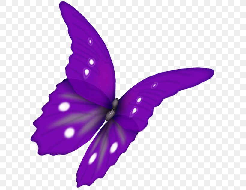 Butterfly Papillon Dog Clip Art, PNG, 627x634px, Butterfly, Brush Footed Butterfly, Butterflies And Moths, Color, Flower Download Free