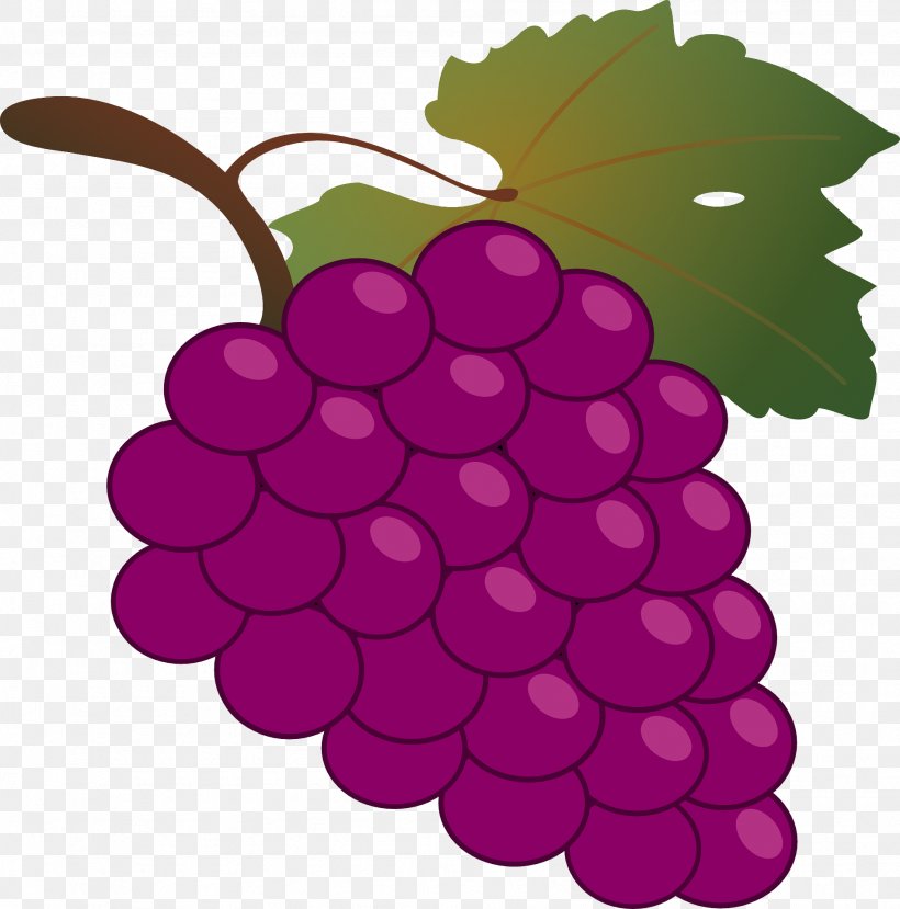 Common Grape Vine Wine Grappa Clip Art, PNG, 1898x1920px, Common Grape Vine, Blog, Flowering Plant, Food, Free Content Download Free