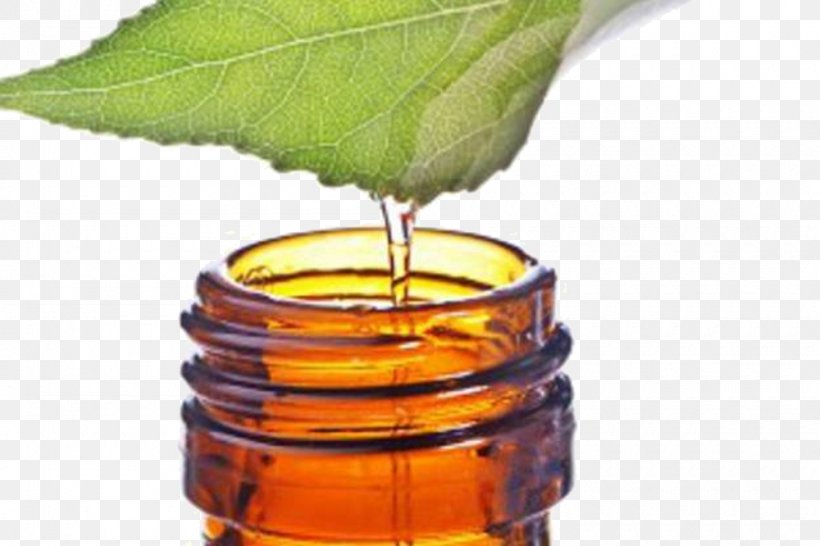 Tea Tree Oil Narrow-leaved Paperbark Essential Oil, PNG, 1000x666px, Tea, Antibiotics, Aromatherapy, Essential Oil, Extraction Download Free