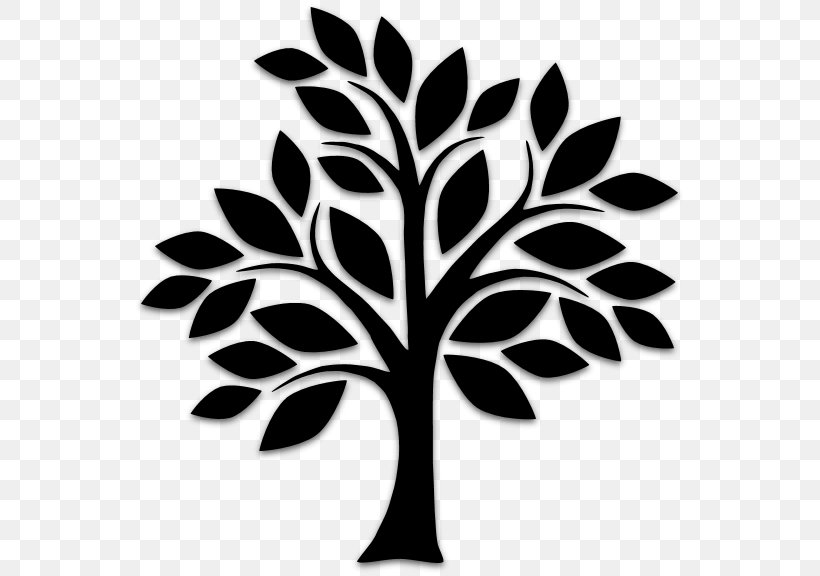 Tree Silhouette Drawing Royalty-free, PNG, 557x576px, Tree, Black And White, Branch, Drawing, Leaf Download Free