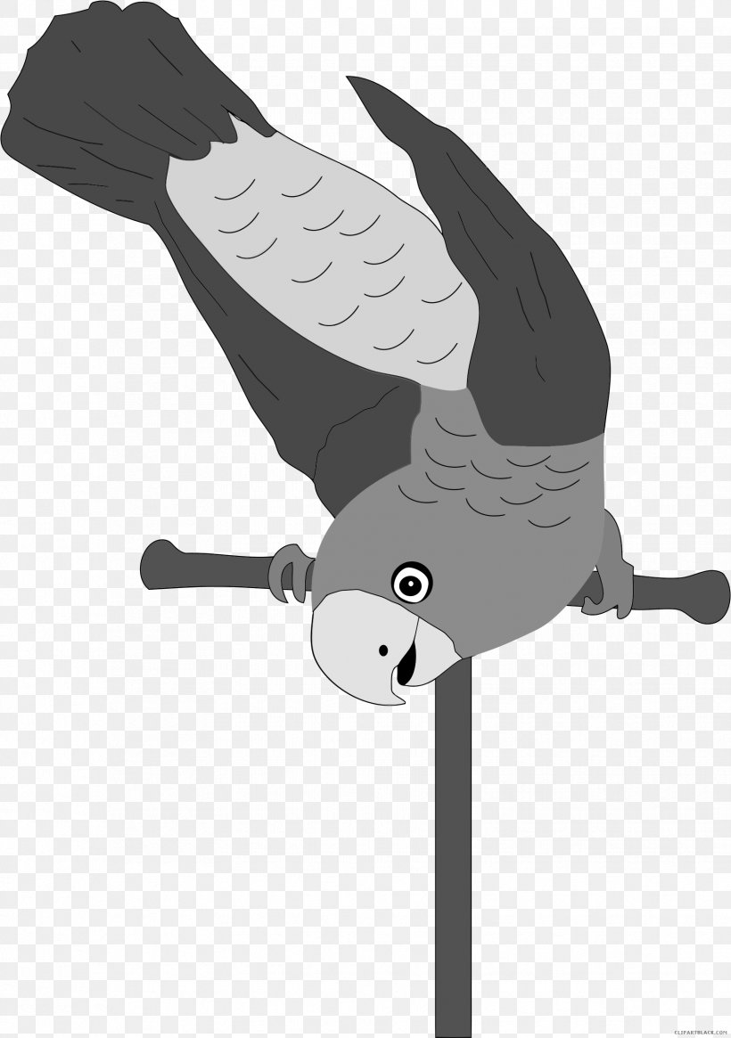 Bird Budgerigar Cockatiel Parakeet Clip Art, PNG, 1728x2457px, Bird, Beak, Black, Black And White, Budgerigar Download Free