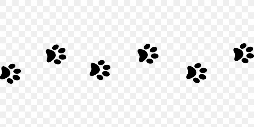 Cat Food Dog Kitten Paw, PNG, 1280x640px, Cat, Animal, Animal Shelter, Animal Track, Black Download Free