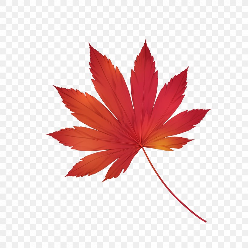 HTTP Cookie Privacy Policy Autumn April, PNG, 1200x1200px, Http Cookie, April, Autumn, Autumn Leaf Color, Data Download Free