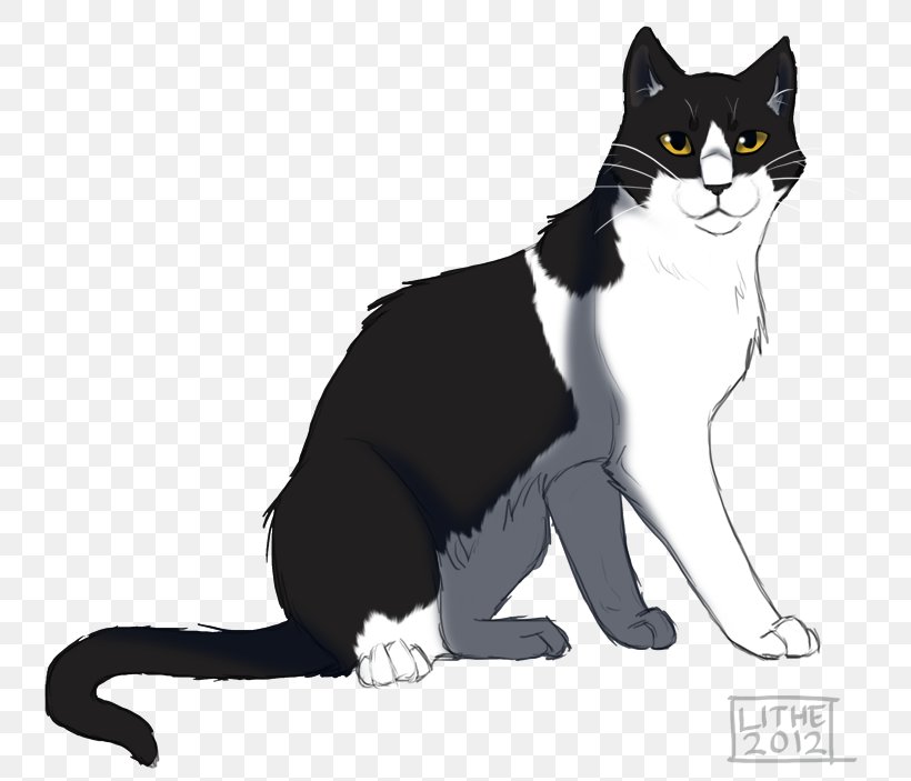 Cat Warriors Toadstep Brightheart ThunderClan, PNG, 769x703px, Cat, American Wirehair, Black Cat, Blossomfall, Brightheart Download Free