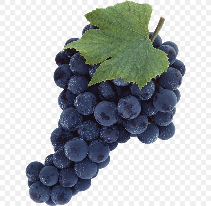 Common Grape Vine Clip Art, PNG, 622x800px, Common Grape Vine, Berry, Bilberry, Blueberry, Food Download Free