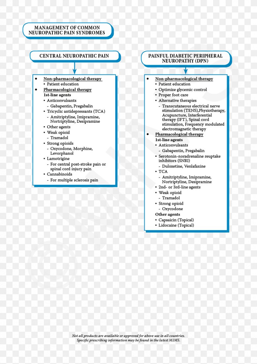 Document Line, PNG, 874x1240px, Document, Area, Diagram, Paper, Text Download Free