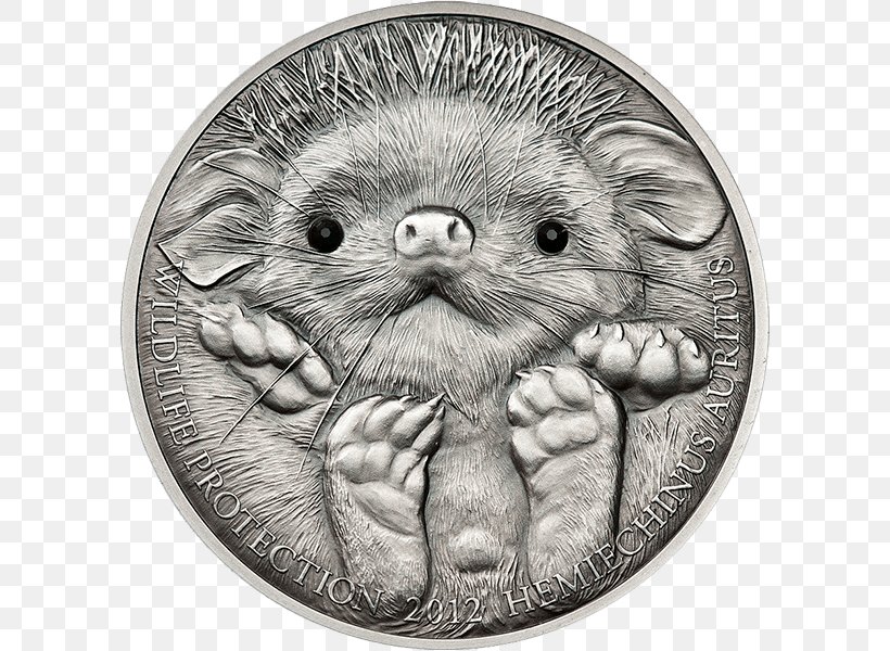 Mongolian Tögrög Long-eared Hedgehog Silver Coin, PNG, 700x600px, Mongolia, Black And White, Carnivoran, Coin, Drawing Download Free