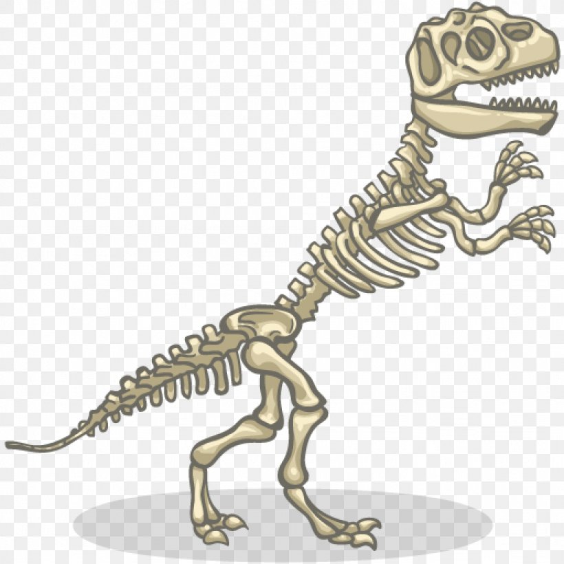Tyrannosaurus Velociraptor Dinosaur Diplodocus Allosaurus, PNG, 1024x1024px, Tyrannosaurus, Allosaurus, Baryonyx, Bone, Dinosaur Download Free