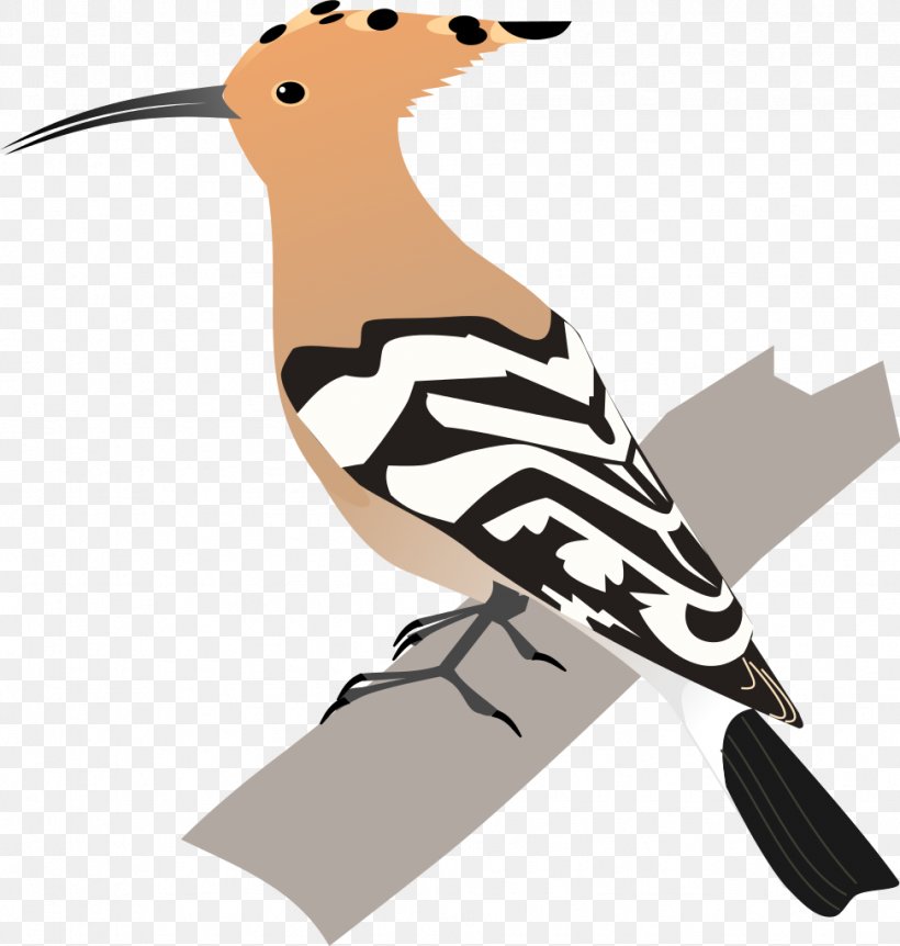 Bird African Hoopoe Animal Clip Art, PNG, 973x1024px, Bird, Aerodramus, African Hoopoe, Animal, Beak Download Free