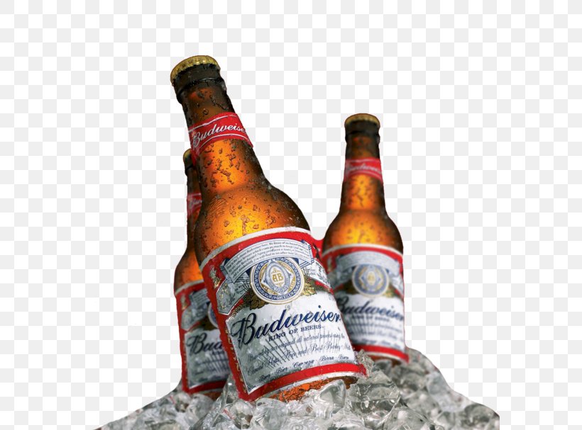 Budweiser Beer Anheuser-Busch InBev Distilled Beverage, PNG, 589x607px, Budweiser, Alcohol, Alcoholic Beverage, Alcoholic Drink, Anheuserbusch Download Free