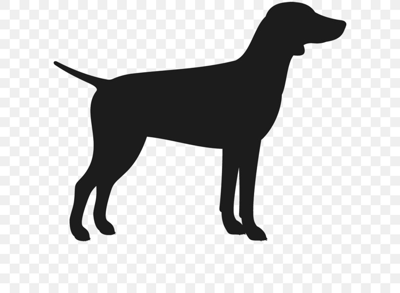 Labrador Retriever Flat-Coated Retriever Dog Breed Puppy German Shorthaired Pointer, PNG, 600x600px, Labrador Retriever, Ballet, Ballet Dancer, Black, Black And White Download Free