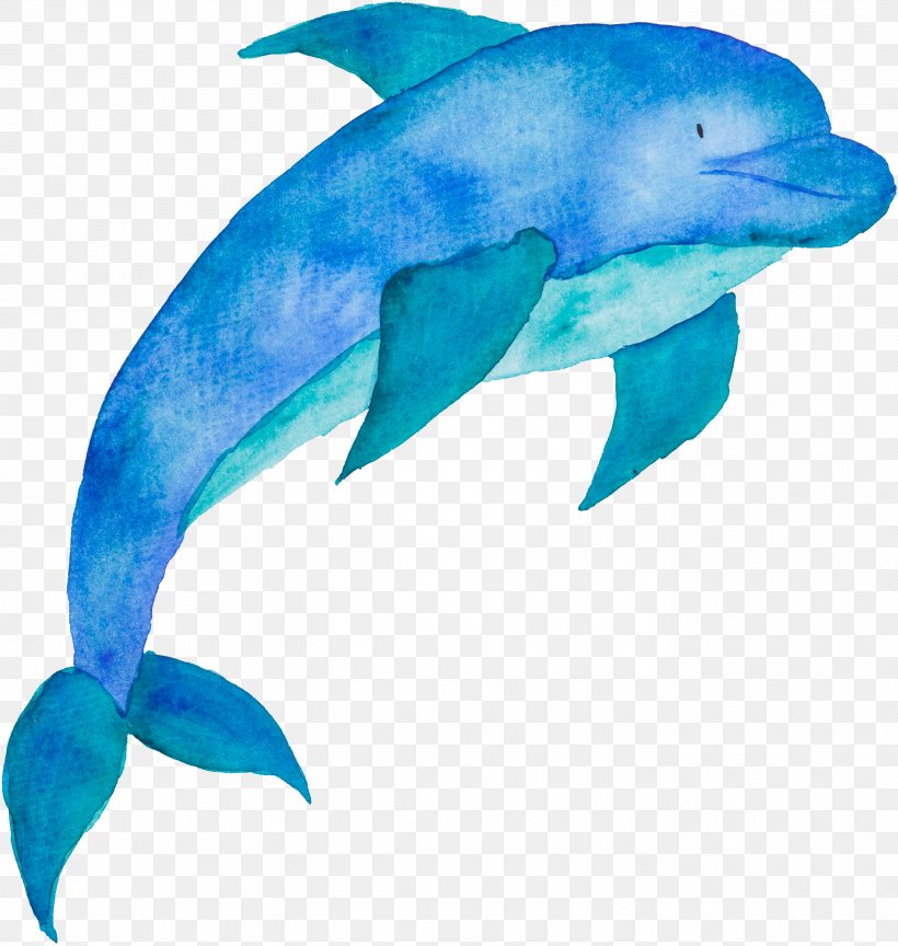 Clip Art Poster Cetacea Illustration, PNG, 2748x2898px, Poster, Beak, Cetacea, Common Bottlenose Dolphin, Digital Image Download Free