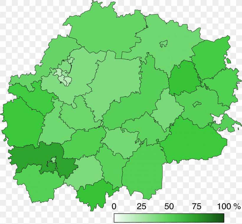 Ryazan Oblast Gubernatorial Election, 2017 Map Royalty-free Illustration, PNG, 1567x1458px, Ryazan, Election, Grass, Green, Map Download Free