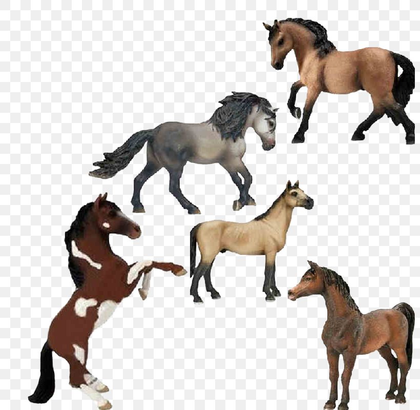Andalusian Horse Lipizzan Shire Horse Friesian Horse Stallion, PNG, 800x800px, Andalusian Horse, Animal Figure, Colt, Equus, Fauna Download Free