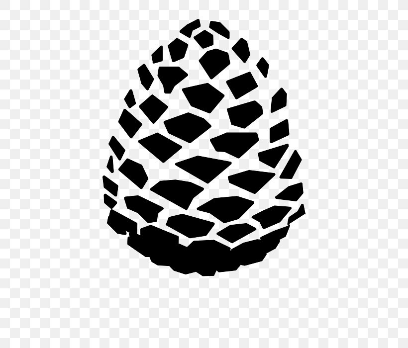 Conifer Cone Lil Pinecone Pinecone Gang Lost Pines Avenue, PNG, 700x700px, Conifer Cone, Bastrop, Black And White, Cone, House Download Free